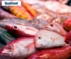 Parlamento Europeu reforça regras contra pesca não sustentável de países terceiros