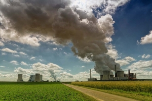 Indústria alimentar é responsável por um terço das emissões de gases com efeito de estufa