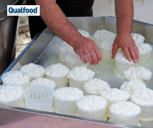 Estudo demonstra que o sal inibe o crescimento da bact&eacute;ria Listeria no queijo fresco.