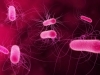 Legionella - Governo propõe auditorias trianuais e sanções acima dos 40 mil euros