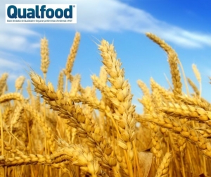 Resíduos da agricultura podem ser reutilizados para vestuário