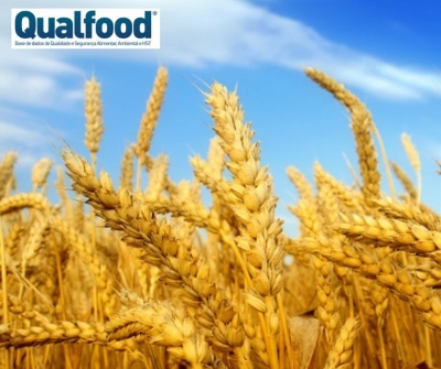 Resíduos da agricultura podem ser reutilizados para vestuário
