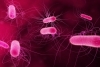 Concurso de cartoons da Sociedade Portuguesa de Microbiologia dá a conhecer os poderes dos micróbios