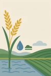 Nova variedade de arroz reduz uso de água e emissões de metano