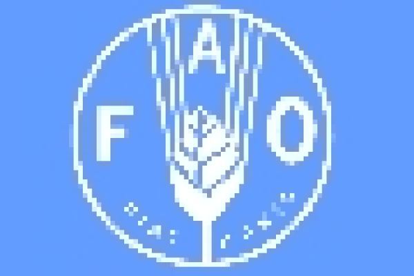 Agricultura moderna em ambientes fechados: oportunidades e desafios à segurança alimentar destacados em novo relatório da FAO