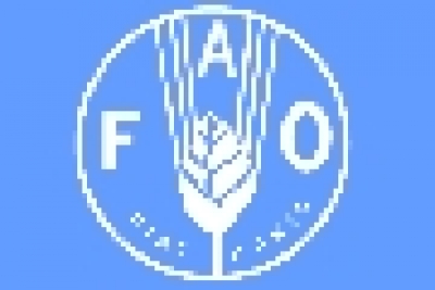 Agricultura moderna em ambientes fechados: oportunidades e desafios à segurança alimentar destacados em novo relatório da FAO