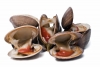 GNR apreende 450 quilos de amêijoa-japónica e 820 quilos de ostras portuguesas