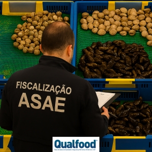 Operação MERCURIUS | ASAE assegura segurança alimentar na venda de moluscos bivalves vivos