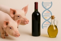 Porcos, vinho e azeite - os maiores beneficiários da edição genética