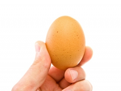 ASAE está pronta a intervir se ovos contaminados chegarem a Portugal