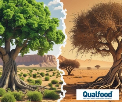 OGM | Cientistas descobrem mecanismo que permite &agrave;s plantas fechar os poros e poupar &aacute;gua durante a seca