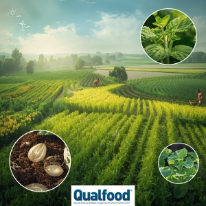 Sementes da mudança: a agricultura orgânica da Europa pode moldar o futuro da alimentação?