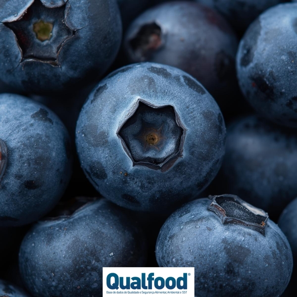 Pequenas superfrutas azuis - o que torna os mirtilos tão especiais?