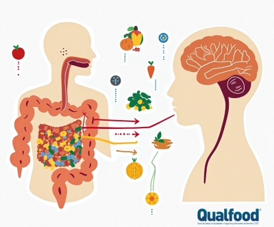 A sua saúde intestinal pode afetar o cérebro