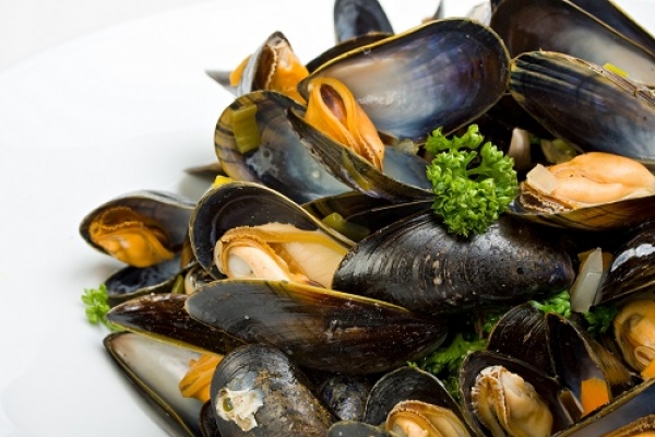 Universidade de Aveiro desenvolve &quot;detetive&quot; de bivalves