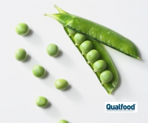 Fibra da vagem de ervilha permite desenvolver molho vegetal est&aacute;vel sem aditivos