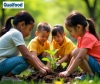 25 de setembro: o vidro na vanguarda da sustentabilidade