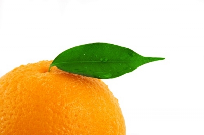 Novo substituto de açúcar encontrado em citrinos