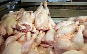 Vacinação de aves pode reduzir a resistência aos antibióticos na carne