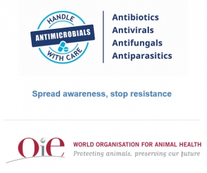 Consciencialização sobre a Resistência Antimicrobiana: &quot;Promova a consciência, pare a resistência&quot;