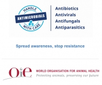 Consciencialização sobre a Resistência Antimicrobiana: 