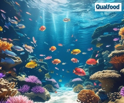 Oceano está a sofrer transformações globais cumulativas sem precedentes