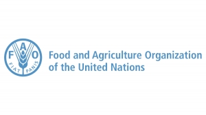 Novo relatório da FAO revela que solo, terra e água estão a chegar a “ponto crítico”