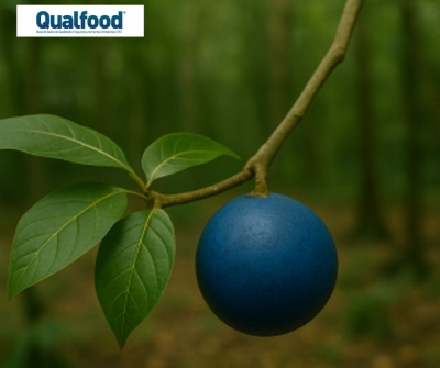 A FDA aprova mais um corante natural