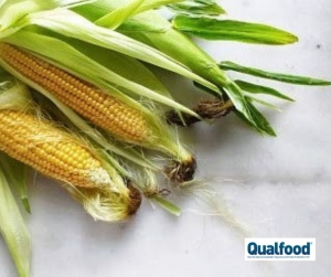 Projeto mo&ccedil;ambicano que transforma cascas de milho em loi&ccedil;a biodegrad&aacute;vel vence pr&eacute;mio