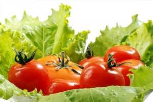 Agricultores vão ter que comunicar a quantidade de água de que necessitam