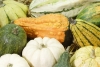 Os alimentos deste Outono