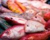 GNR: Apreensão de 580 quilos de pescado na Ilha do Pico