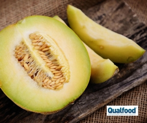 Valorização do desperdício do melão: uma abordagem sustentável