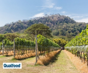 &ldquo;Serras&rdquo; &eacute; novo terroir da regi&atilde;o dos Vinhos do Tejo