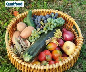 Exporta&ccedil;&otilde;es de frutas, legumes e flores valem 2,6 mil milh&otilde;es de euros