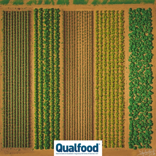 Rotação de culturas é “alavanca global” para produtividade e rendimento