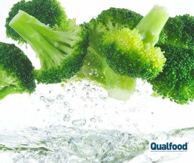 Porque devemos comer brócolos? 5 razões para consumir os vegetais amigos da saúde digestiva e imunológica