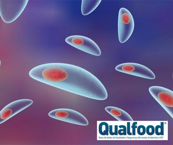 Cientistas detectam o parasita Toxoplasma em saladas prontas a consumir na Europa
