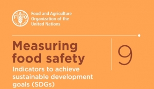 Publicação FAO: A dimensão da segurança alimentar - Indicadores para alcançar os Objetivos de Desenvolvimento Sustentável