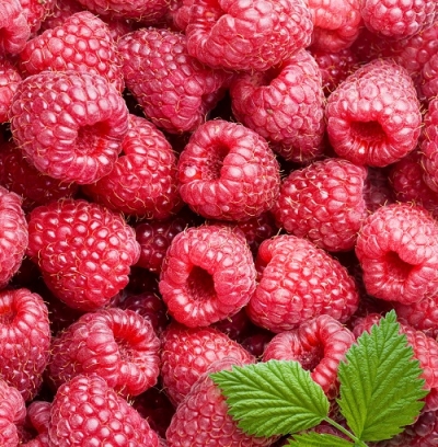 Framboesa
