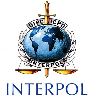 Interpol apreende mais de 300 mil latas de conserva de peixe em Portugal