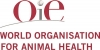 OIE lança o Jogo &#039;Desafio sobre a Peste Bovina&#039;