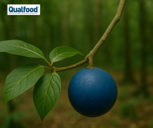 A FDA permite que alimentos com corantes alimentares "naturais" declarem "sem corantes artificiais".