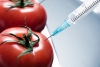 Investigadores espanhóis desenvolvem tomate resistente a pragas
