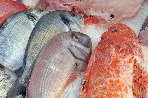 ASAE apreende 18 toneladas de peixe congelado