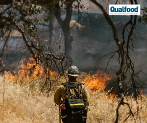 Fogo controlado no inverno ajuda a travar inc&ecirc;ndios e renova pastagens