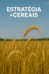 Estratégia +CEREAIS | Aumento da Produção Sustentável de Cereais em Portugal
