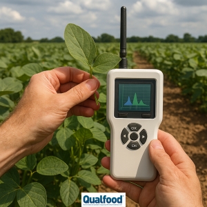 Plantas que &ldquo;avisam&rdquo;: Investigadores criam tecnologia que deteta qu&iacute;micos no terreno