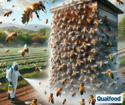 Pragas | Nanotecnologia promete pesticidas que protegem as colheitas sem prejudicar o ambiente