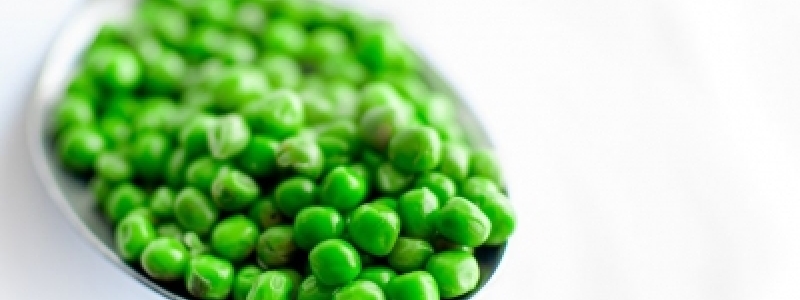 Ingredientes emergentes moldam...